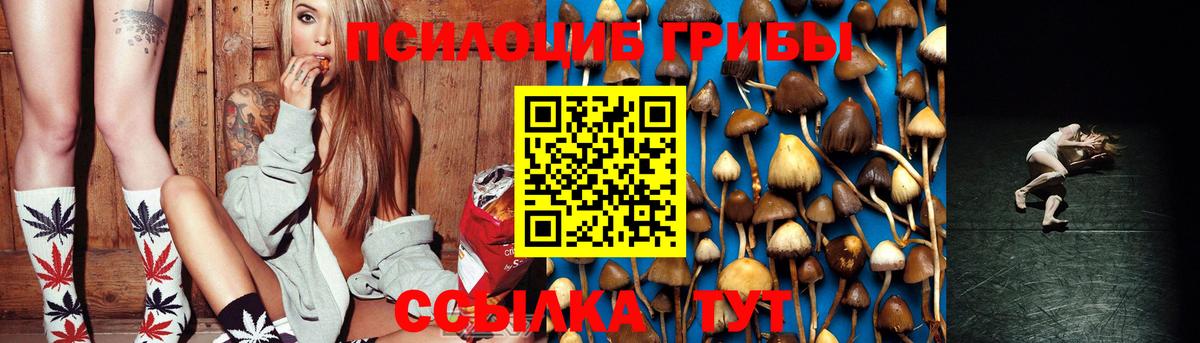 Псилоцибиновые грибы GOLDEN TEACHER Златоуст