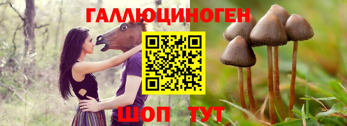 Галлюциногенные грибы Magic Shrooms  Вход с VPN  Галлюциногенные грибы GOLDEN TEACHER  Златоуст 